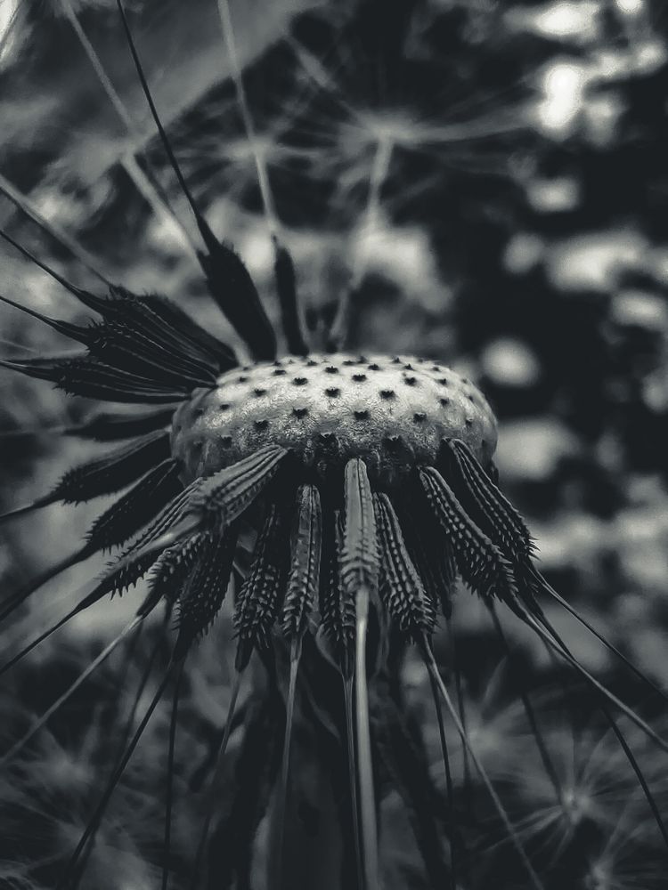 Photograph by Кристина Полякова