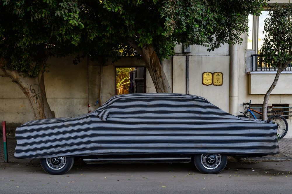 Photograph by Дмитрий Бахтадзе