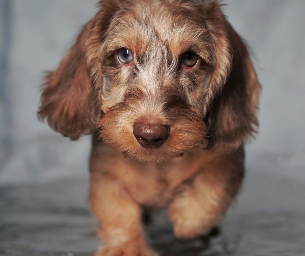 Photograph by Алина