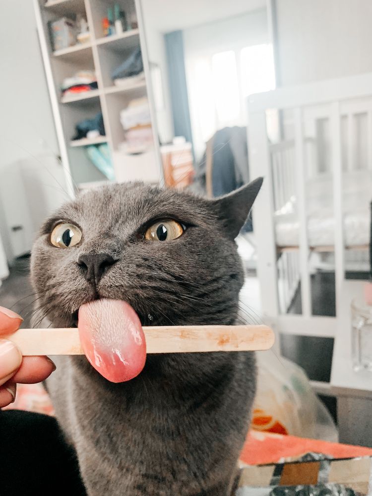 Photograph by Лидия Тюлькубаева