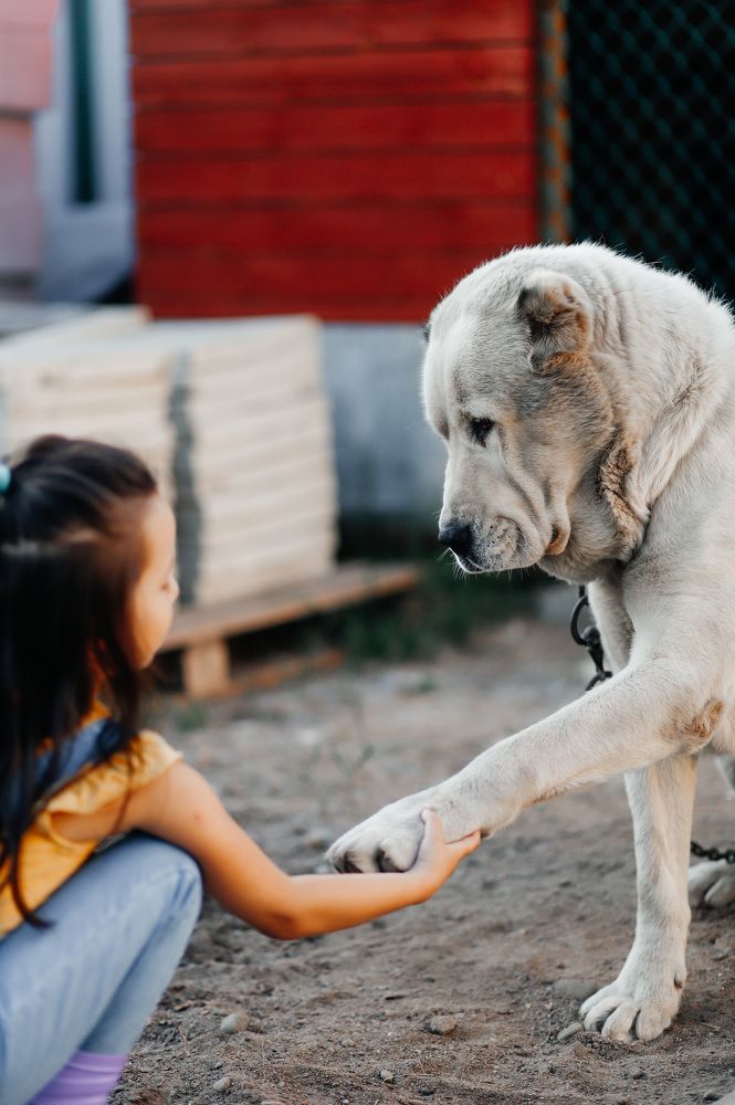 Photograph by Лидия Тюлькубаева