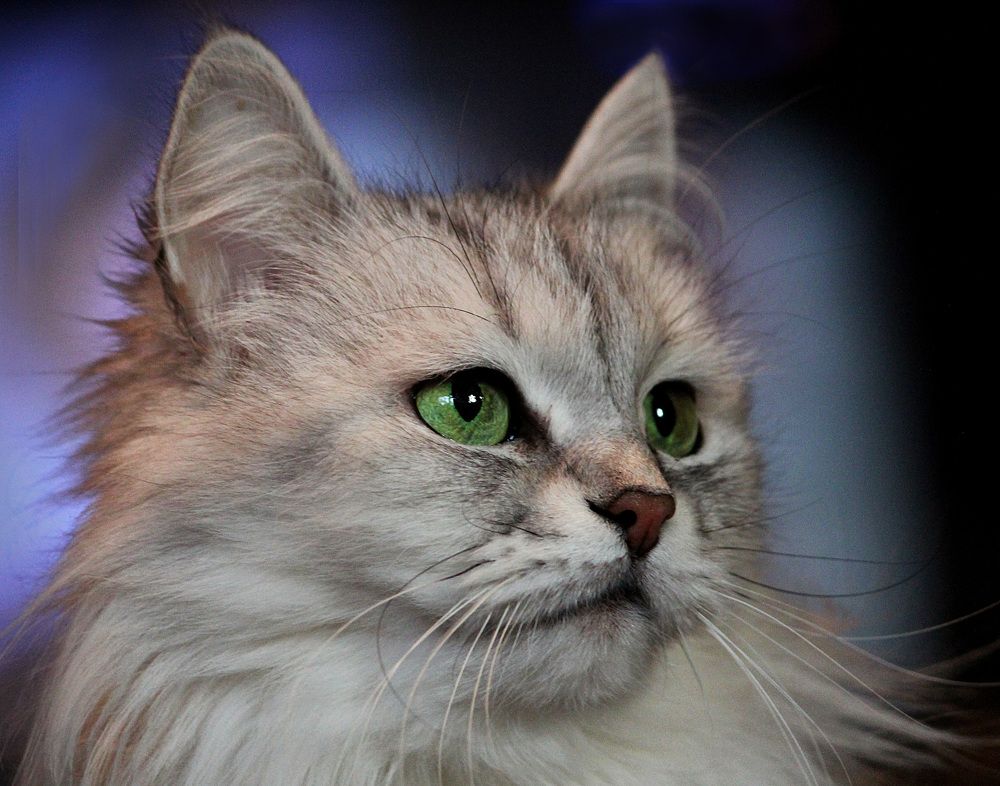 Photograph by Зоя Быкова