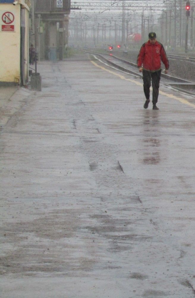 Photograph by Николай Худяков