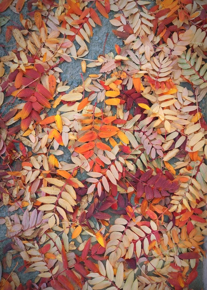 Photograph by Юлия Андреева