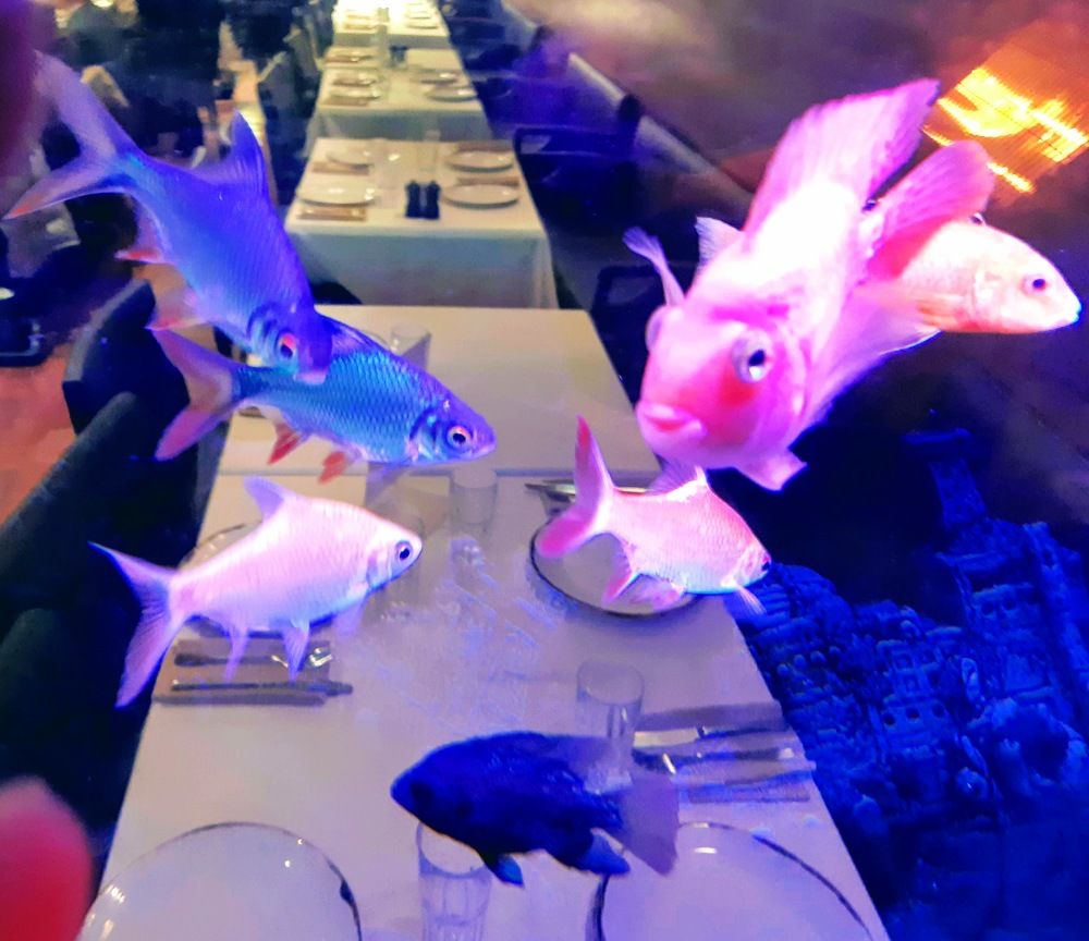 Photograph by Jacob Greenberg