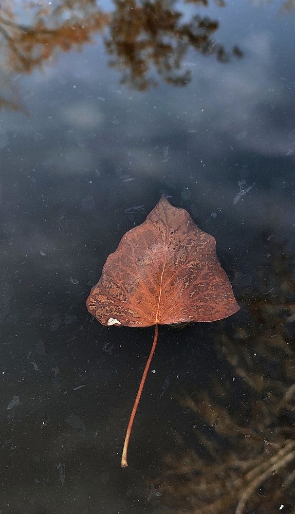 Photograph by Ehsan Fathi