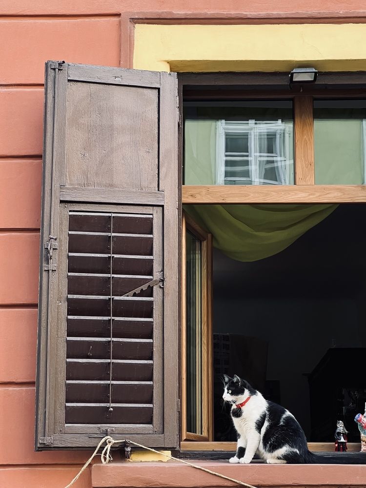 Photograph by Chris Butucioc