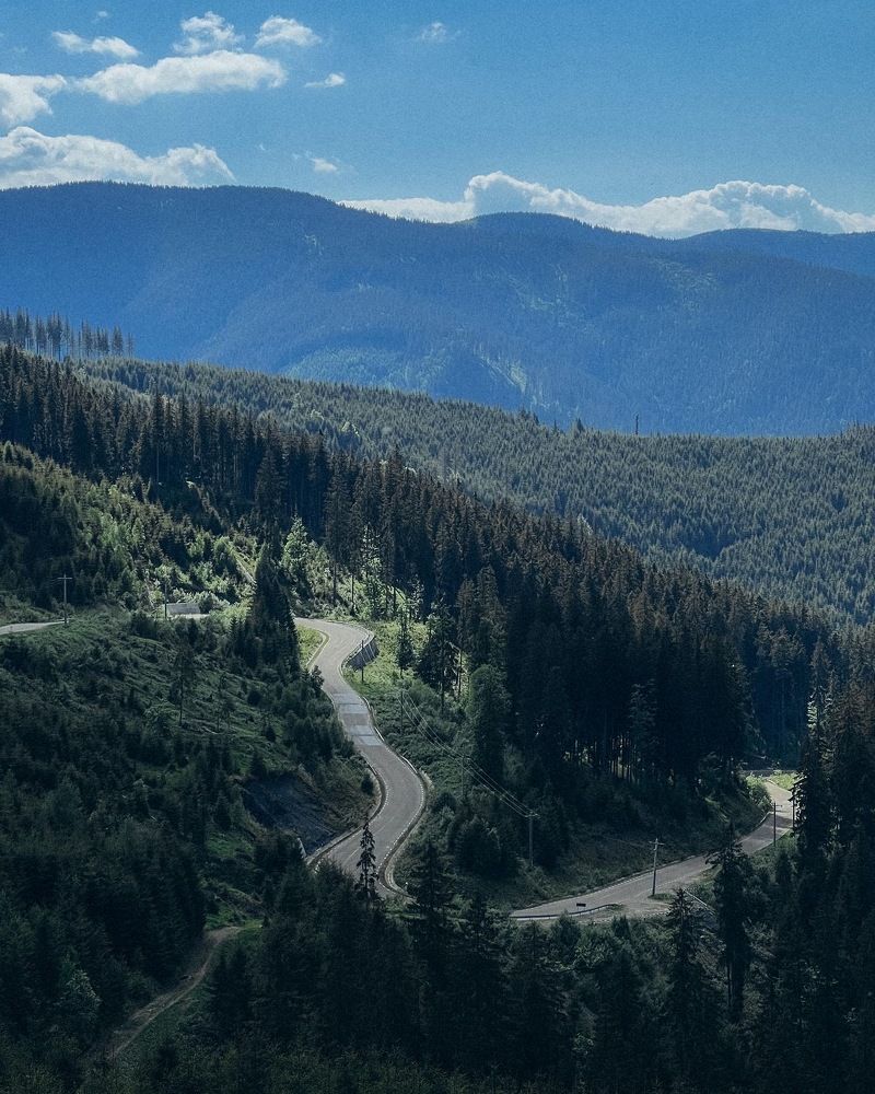 Photograph by Chris Butucioc