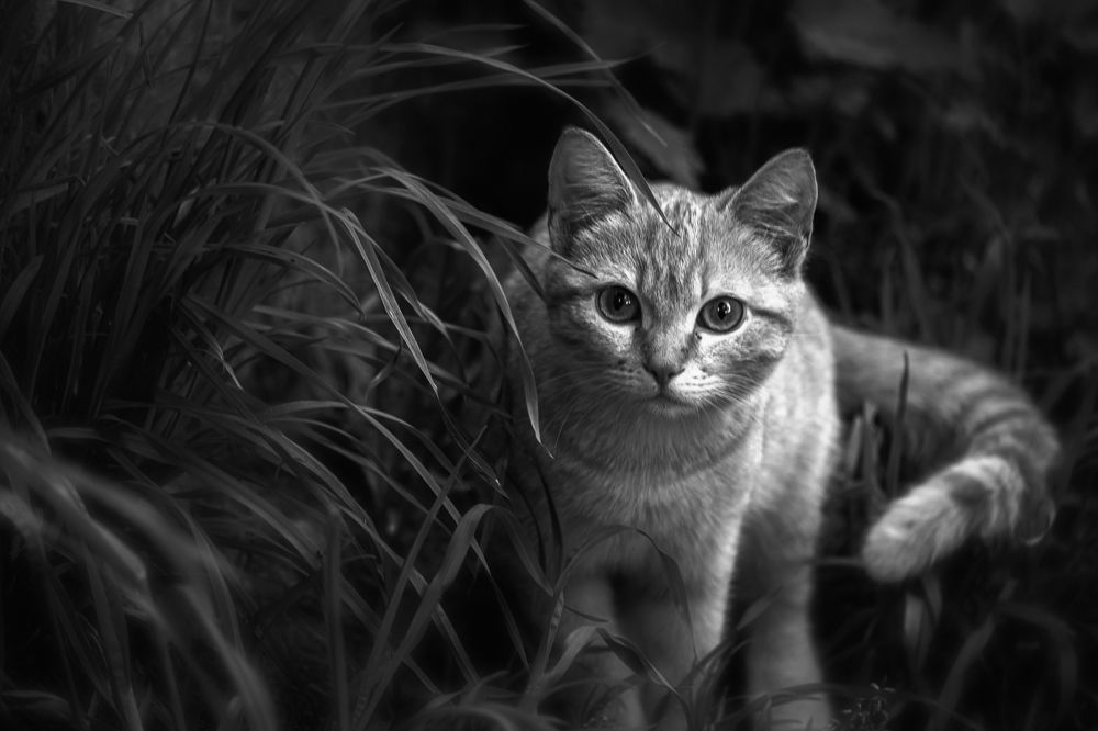 Photograph by Евгений Кузнецов