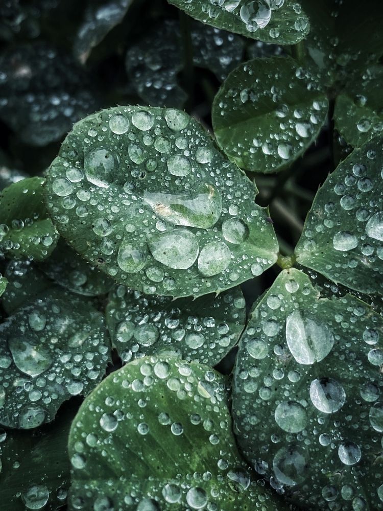 Фотография автора Екатерина Киреева