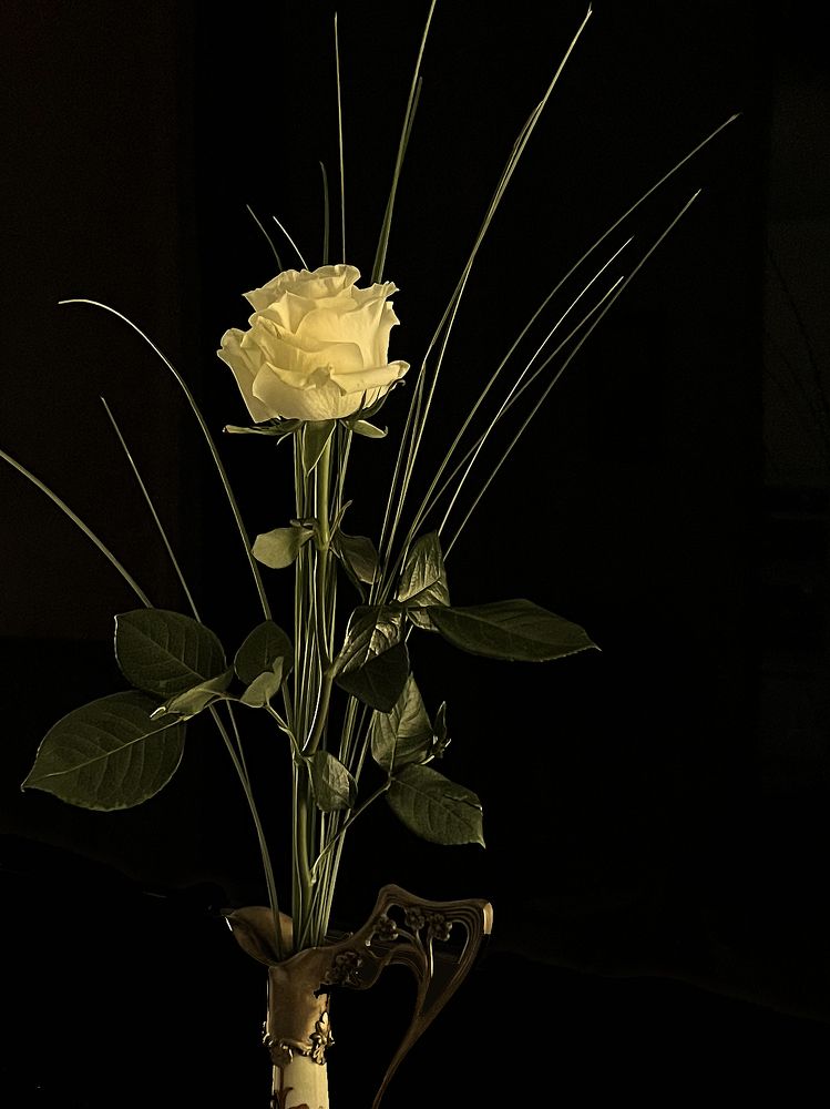 Photograph by Владимир Блехеров