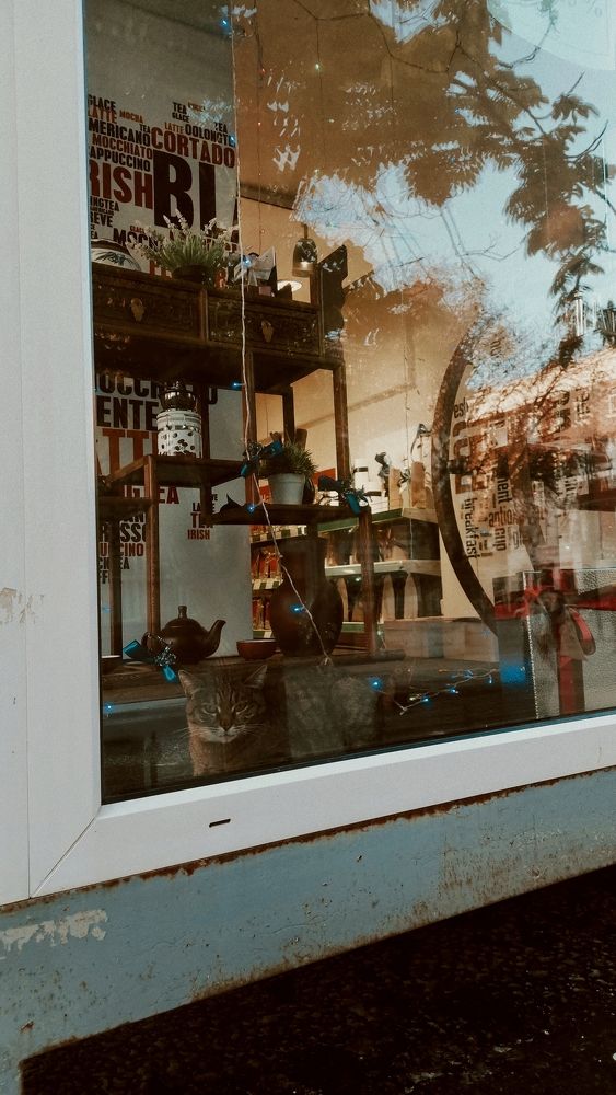 Photograph by Анастасия Ивахнова