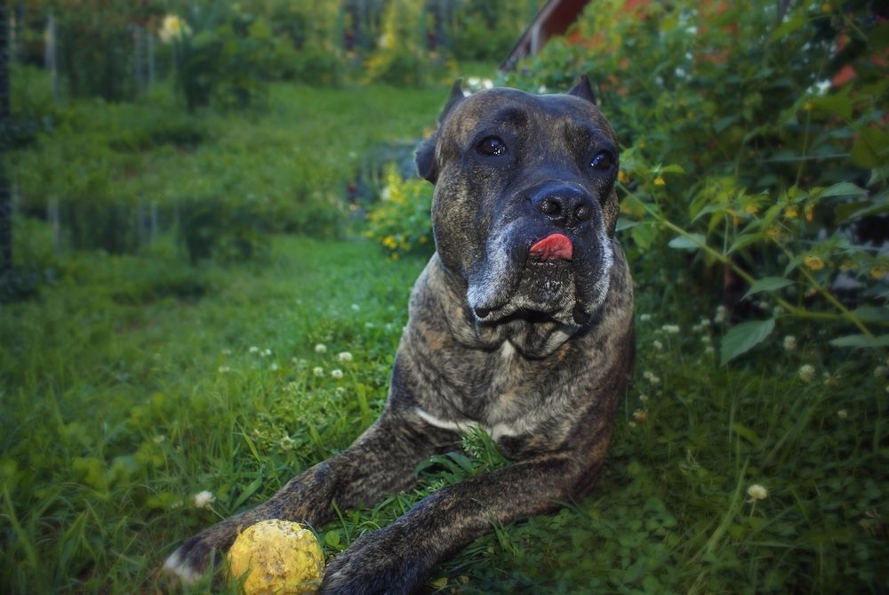 Photograph by Мария Колоскова