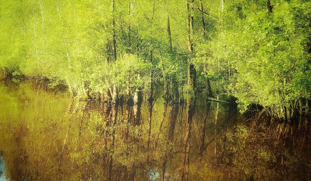 Фотография автора Alina Filimonova