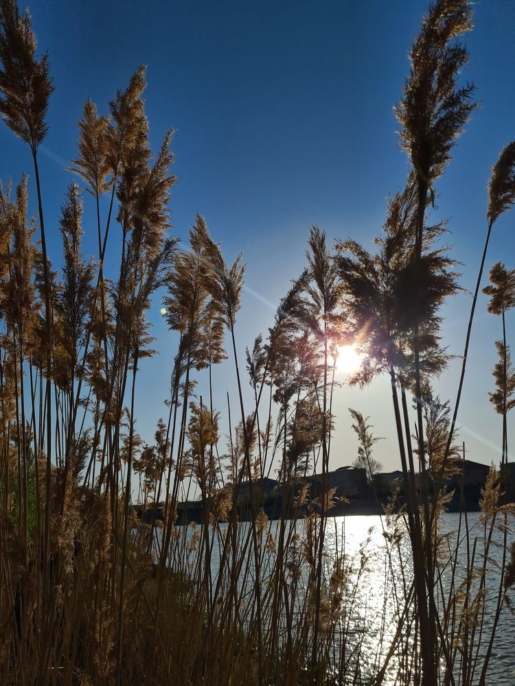 Photograph by Юлия