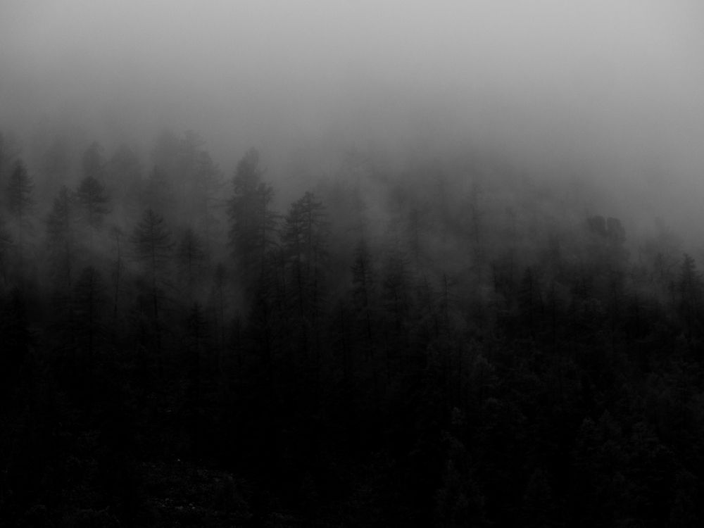 Photograph by Screeny 42