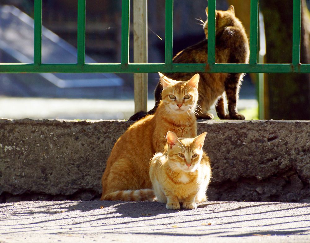 Photograph by Danyliuk Ruslan