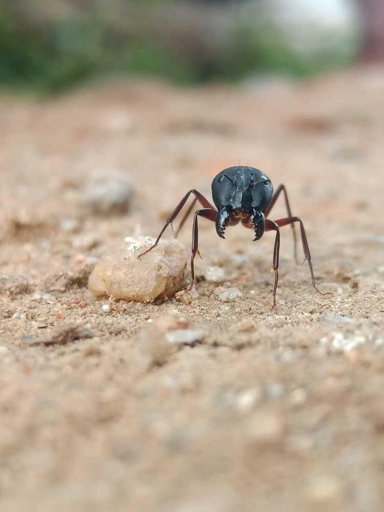 Photograph by Supravat Karmakar