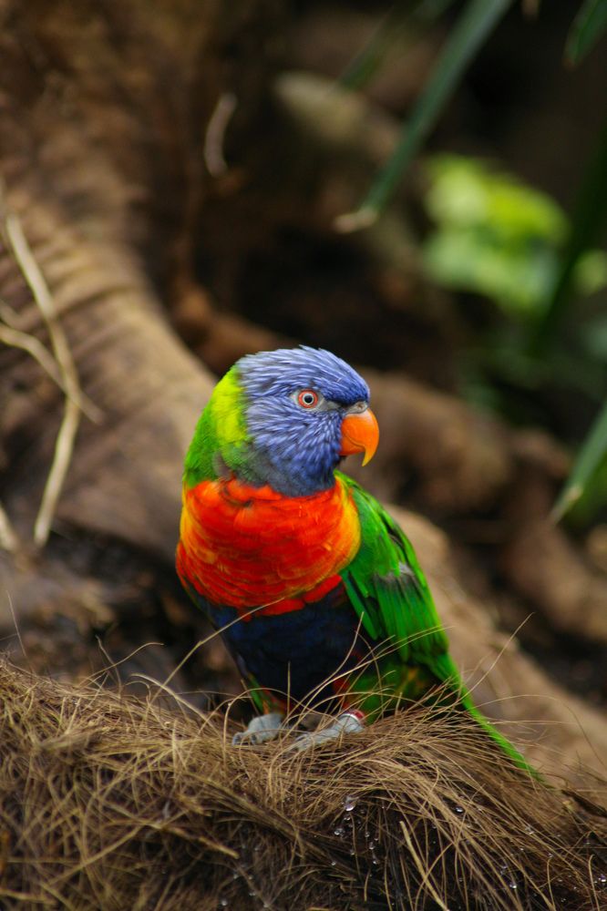 Фотография автора Кристина Данилюк