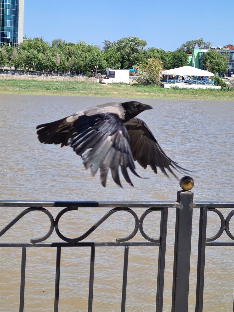 Photograph by Юлия