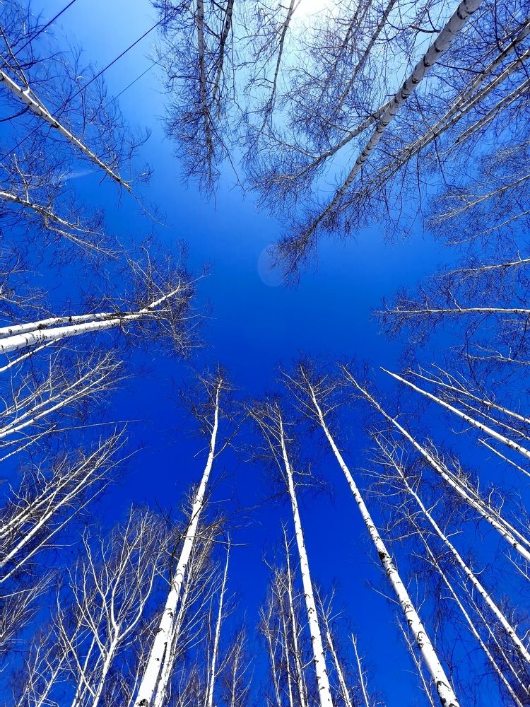 Photograph by Ольга Сизонюк