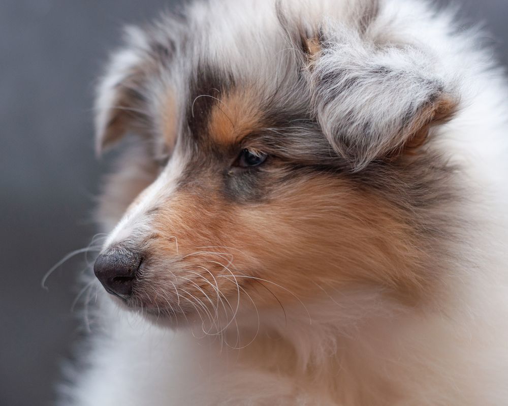 Photograph by Виктория Сафонова