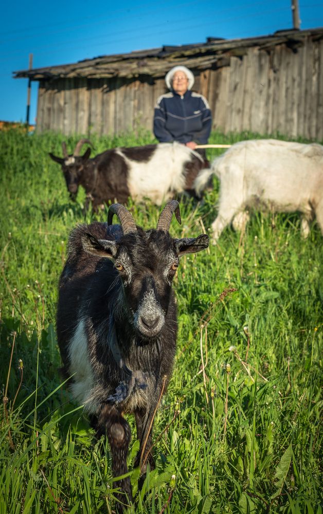 Фотография автора Алексей Шуплецов