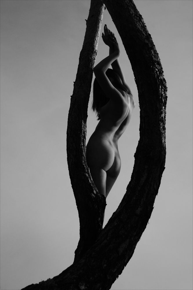 Photograph by Стас Кадрулёв