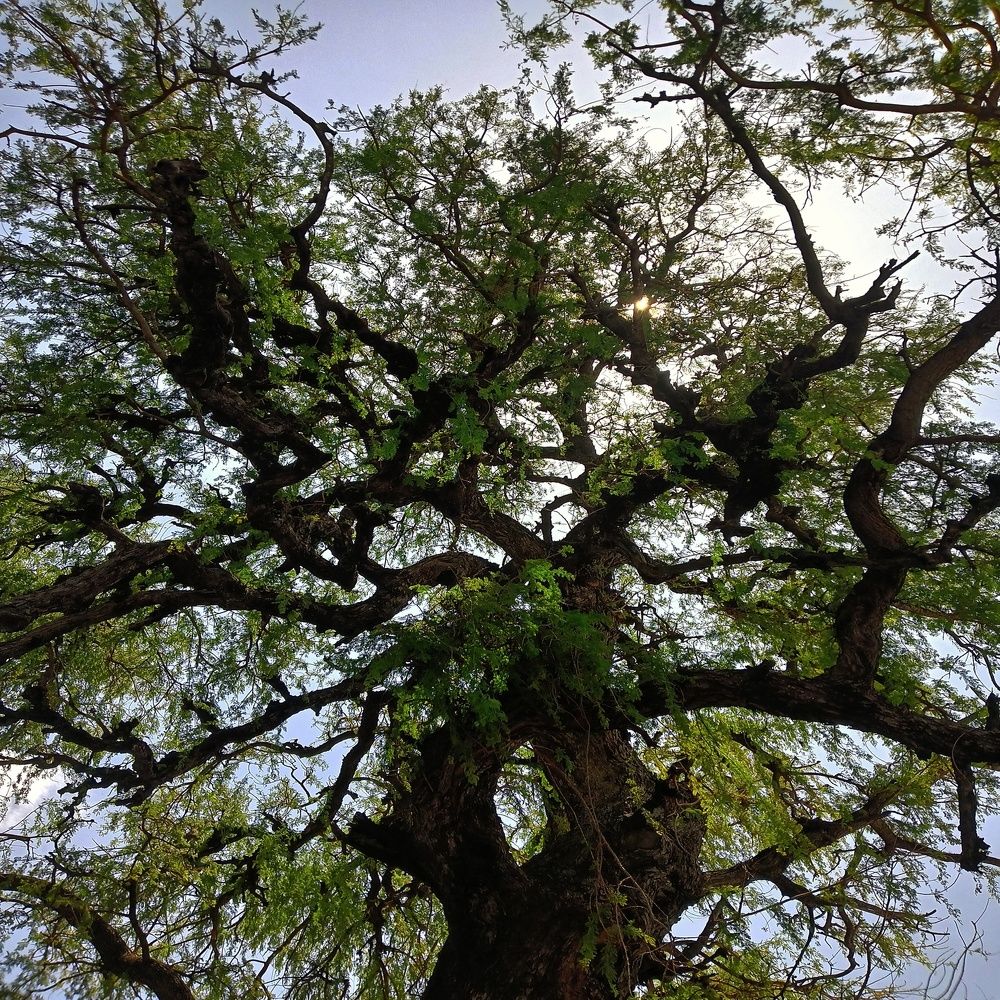 Photograph by Priyanka