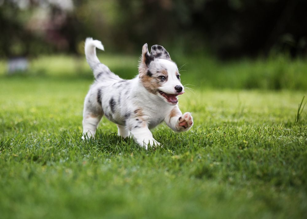 Photograph by Юлия Вербицкая