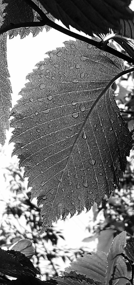 Photograph by Евгения Ульянова