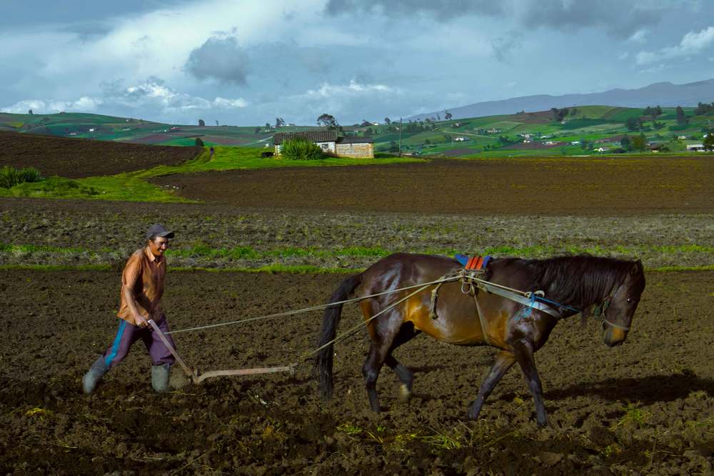 Photograph by Eric Medina