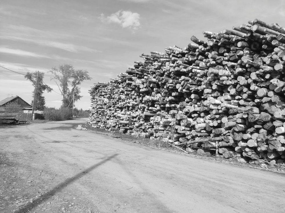 Photograph by Саттарова Ирина