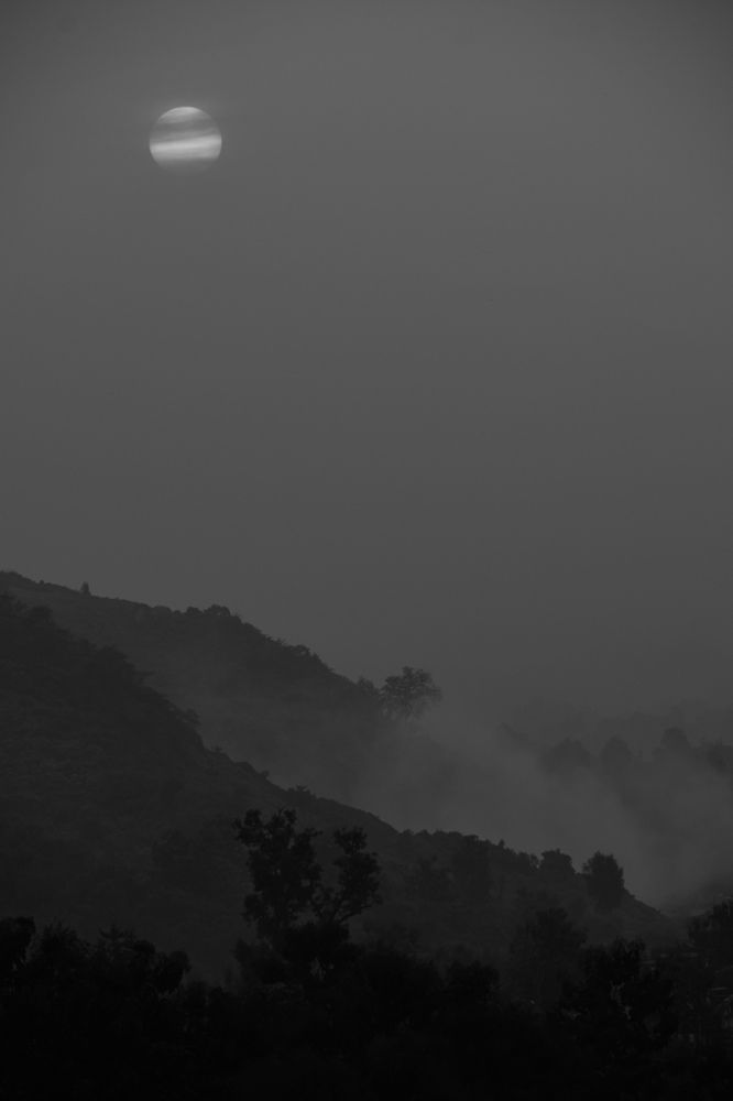 Photograph by Dhrubajyoti Bhattacharyya