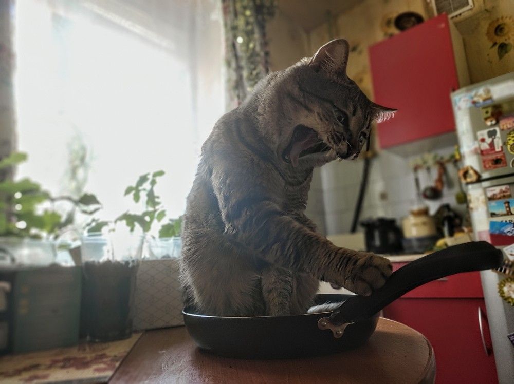 Photograph by Саттарова Ирина