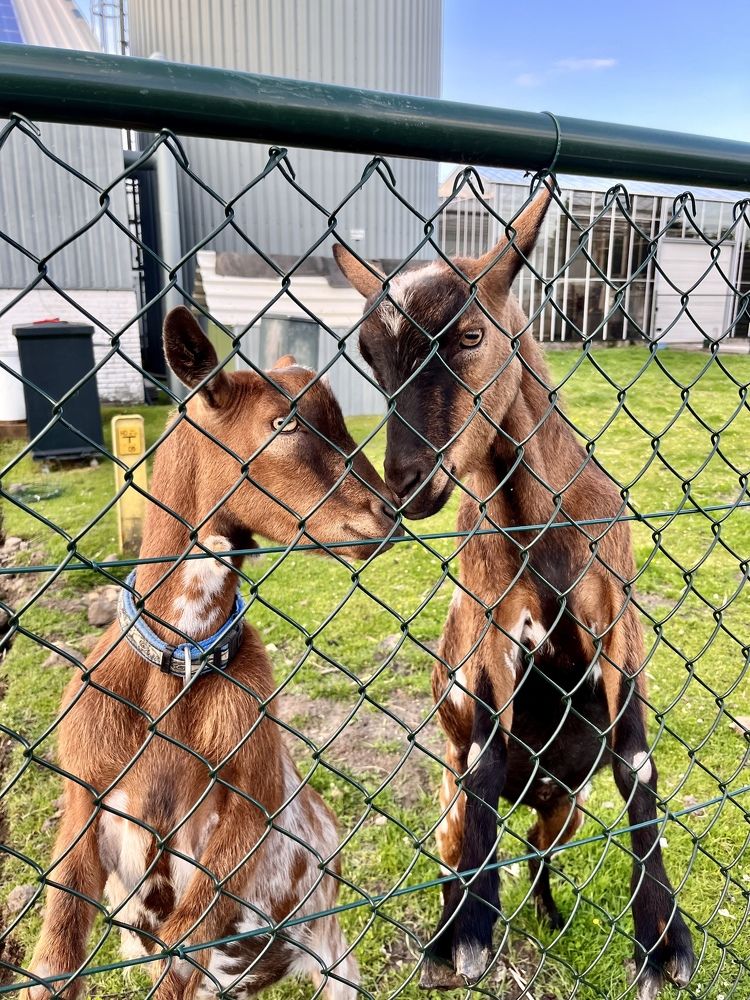 Photograph by Эрика