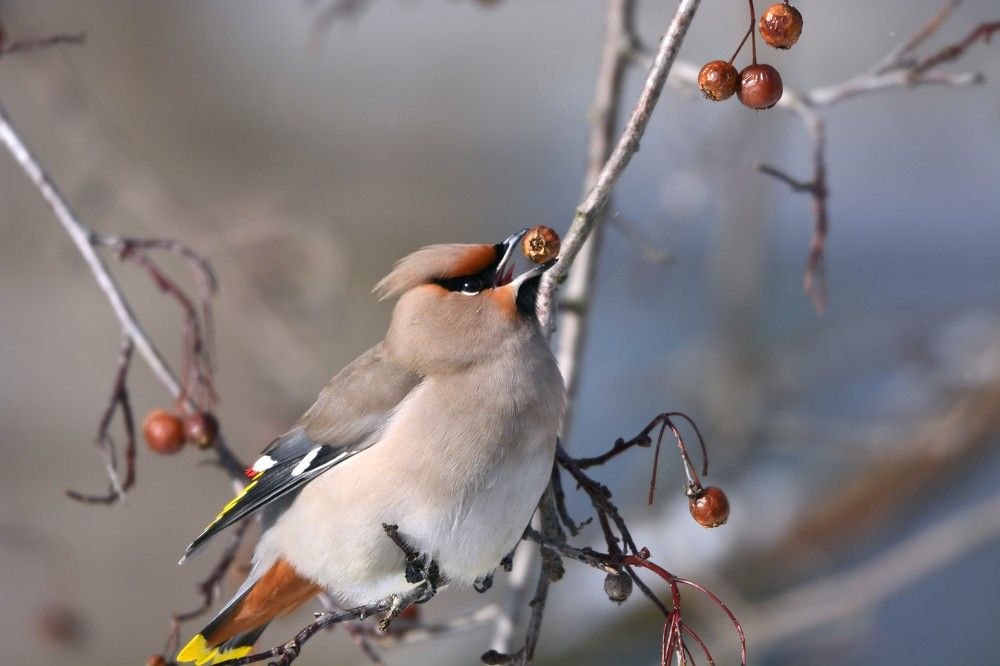 Фотография автора Рафаиль Садыков