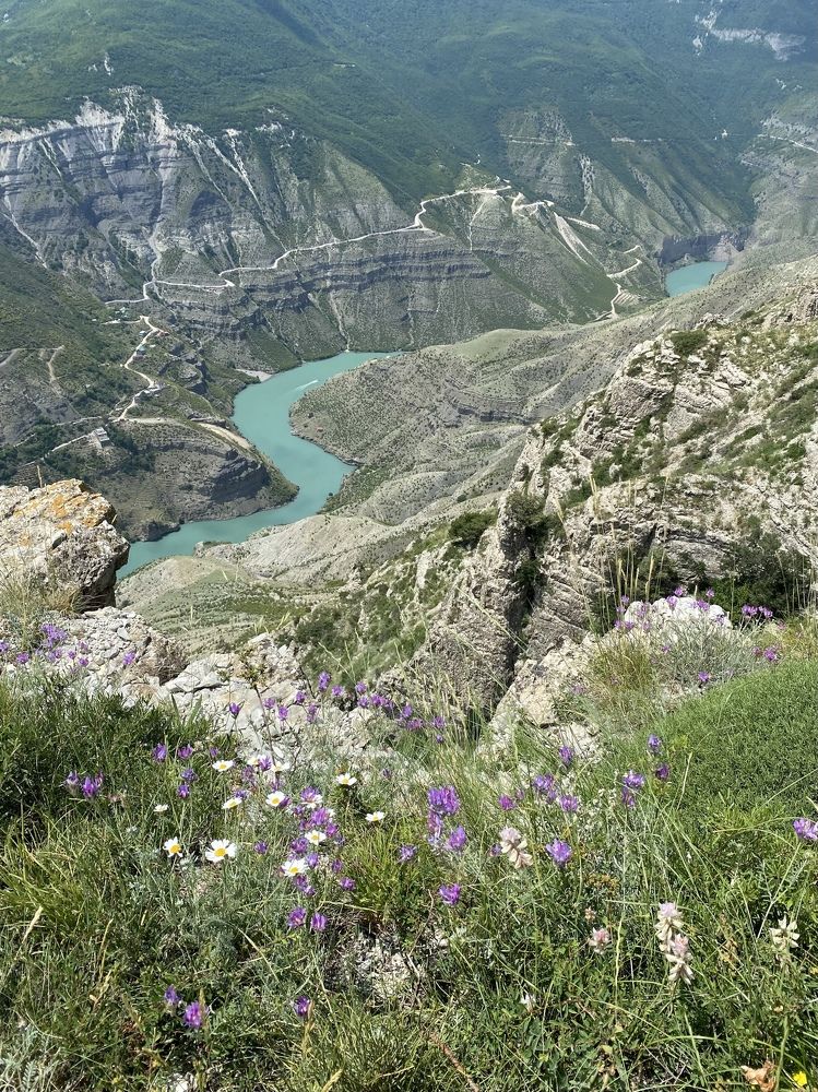 Фотография автора Ольга Горюнова