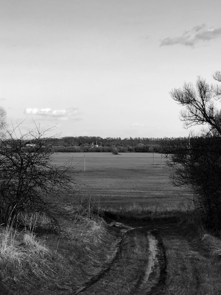 Photograph by Liubov