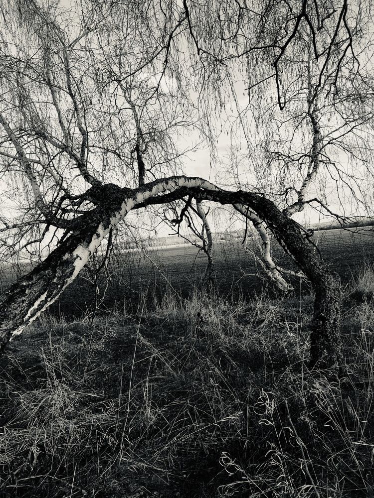 Photograph by Liubov