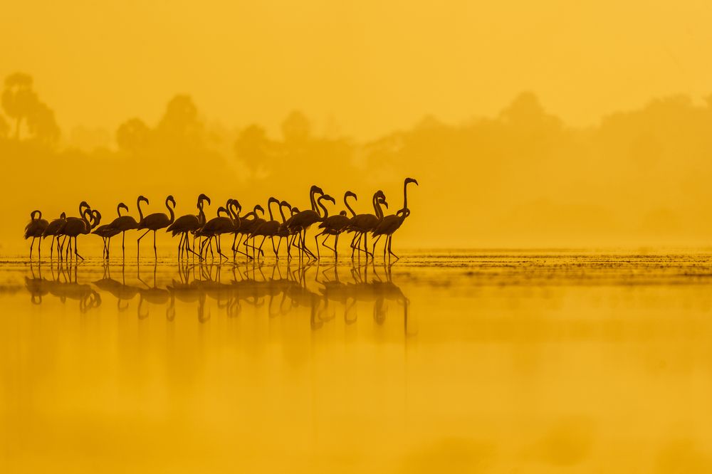 Photograph by Karthik Sriraman