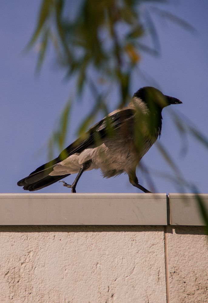Фотография автора Татьяна Нарайкина