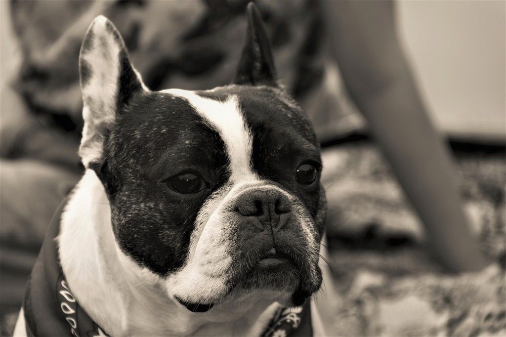 Фотография автора Татьяна Нарайкина