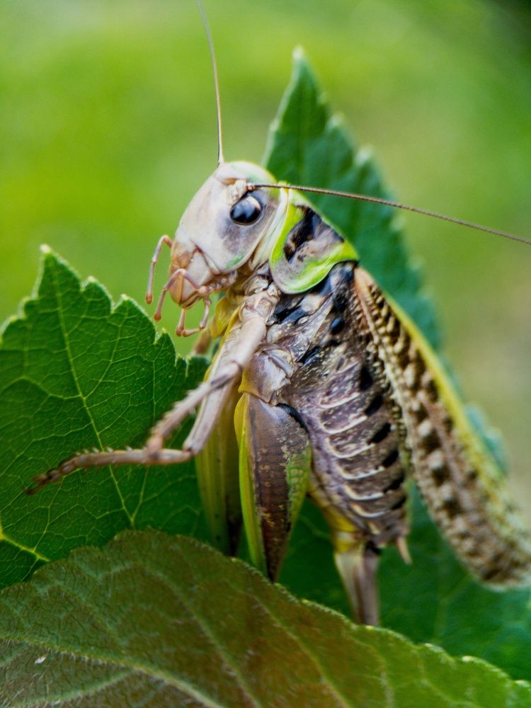 Photograph by Ирина Мошковская