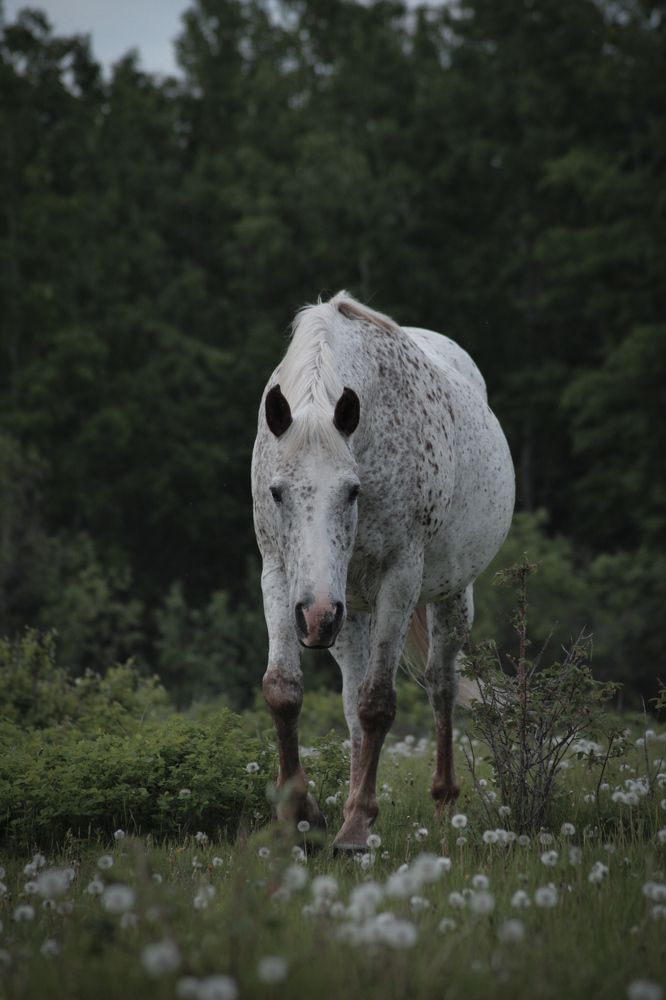 Фотография автора Кристина Данилюк