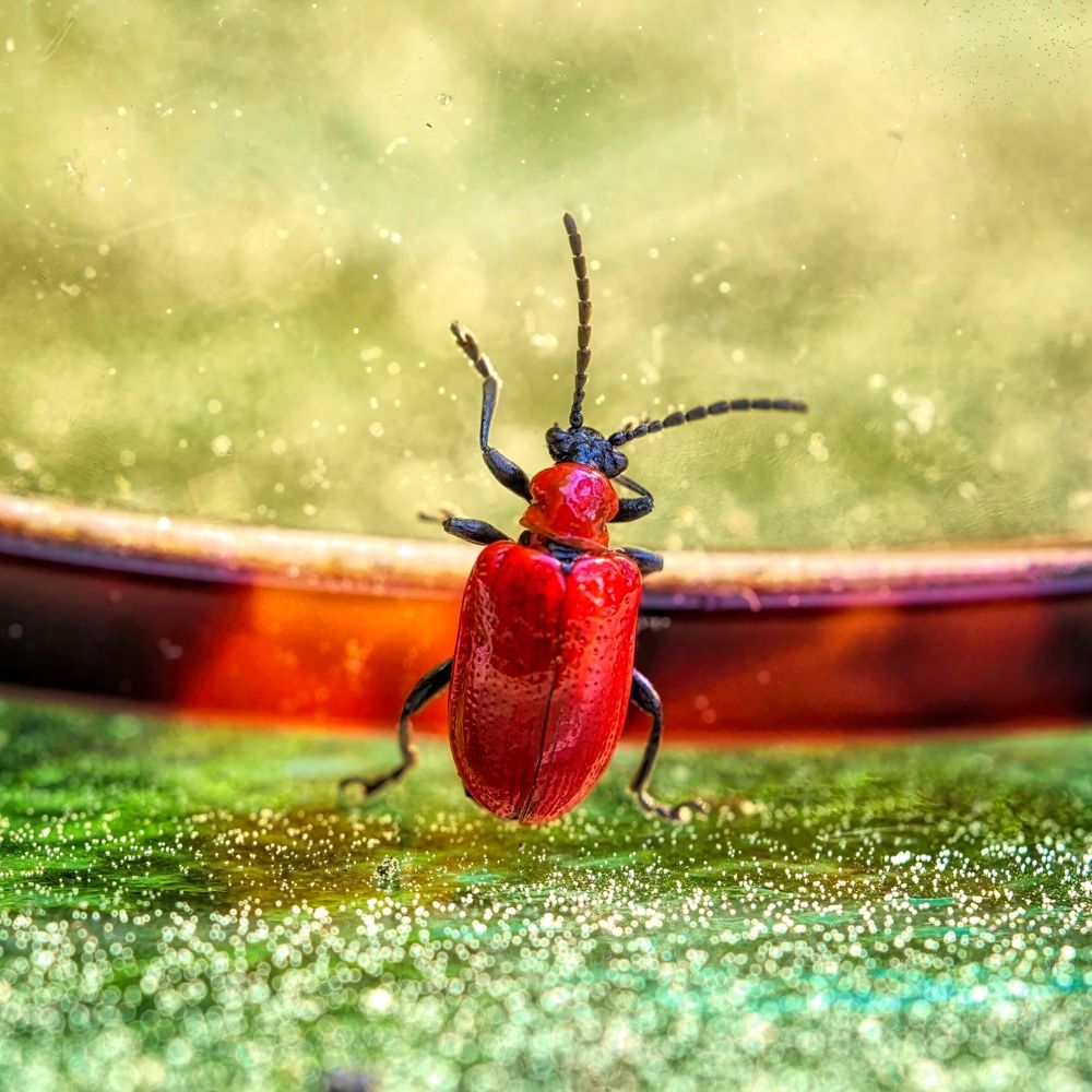 Photograph by Сергей Аллагулов