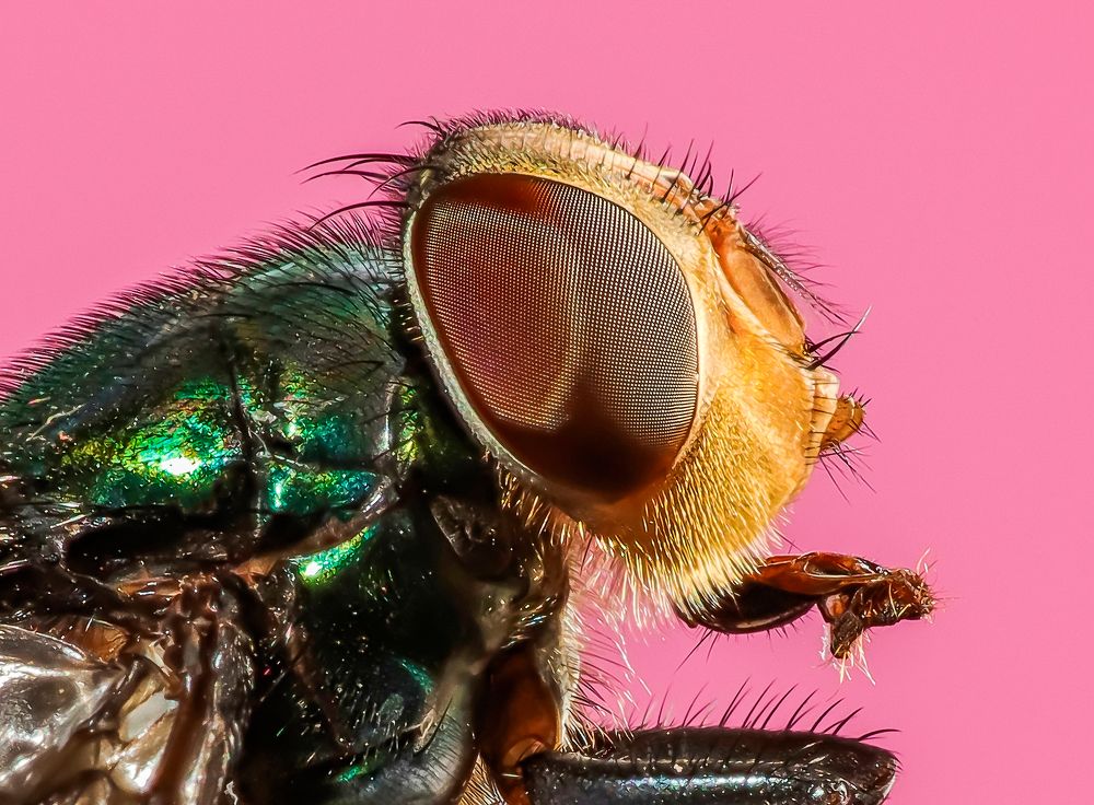 Photograph by Everton Medeiros