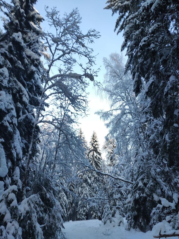 Photo #7660828