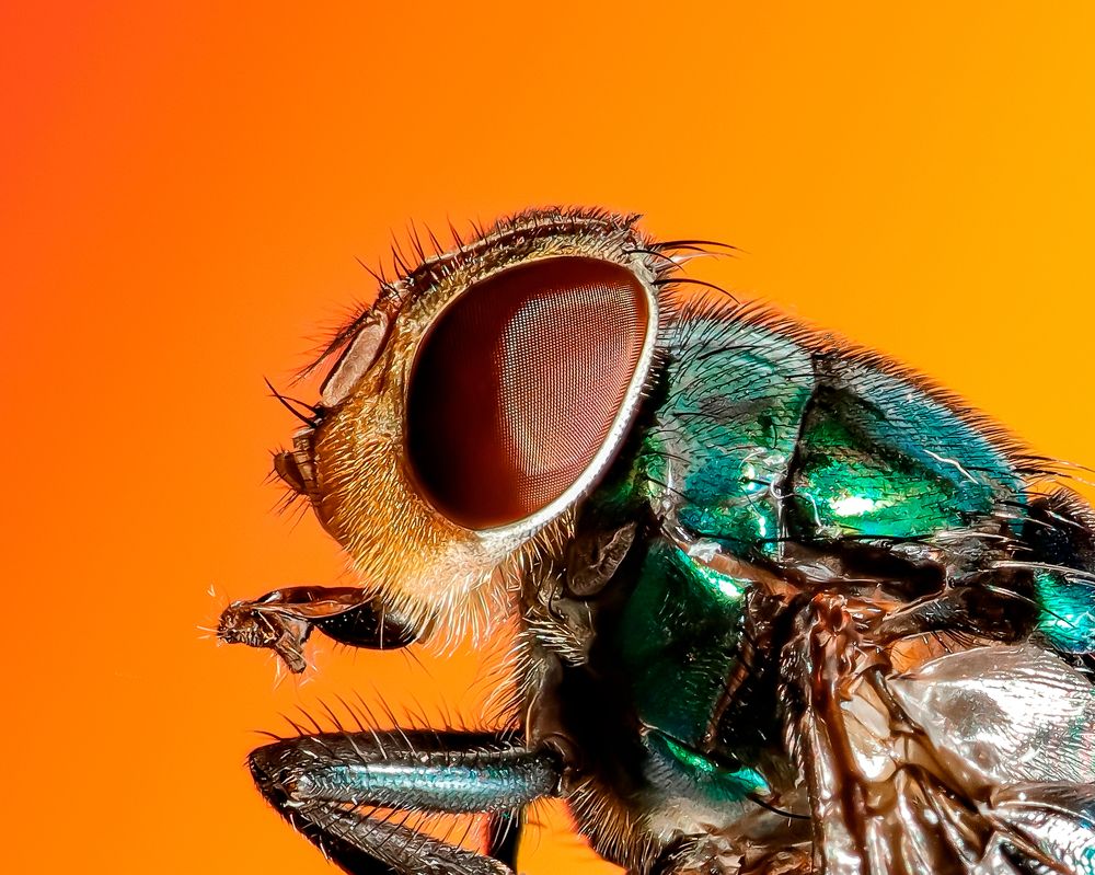 Photograph by Everton Medeiros