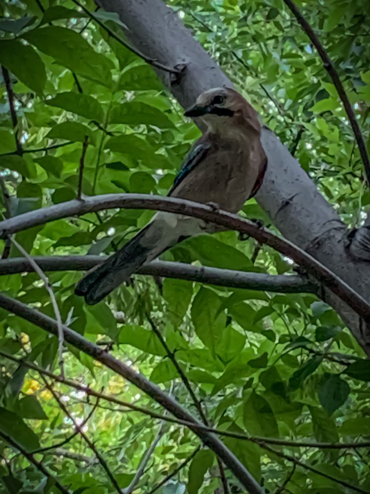 Photograph by Хавронина Марина